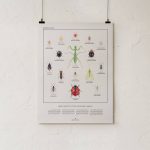 Goldleaf's beneficial bugs print for organic growers