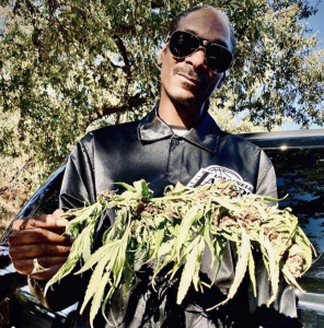 Snoop dog on Huckleberry Hill Farms