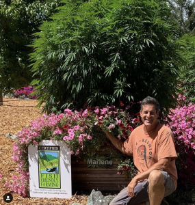 John Casali poses with the Sweet Marlene strain named after his late mother and his Fish Friendly Farming certification. Photo courtesy of Huckleberry Hill Farms Instagram.