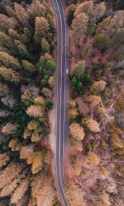 bird's eye view photo of road in the middle of forest