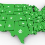 The United States with cannabis plants over each state.