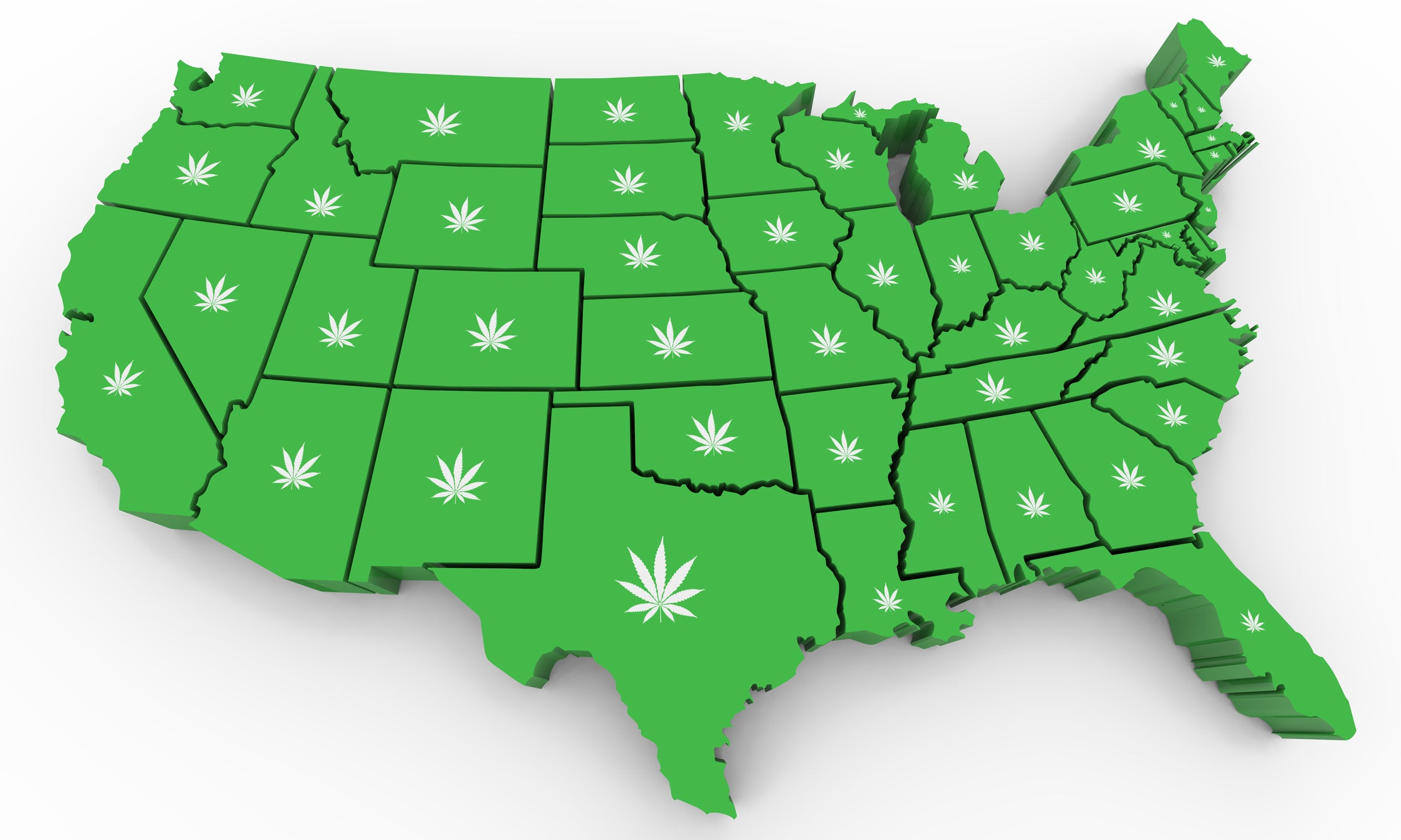 The United States with cannabis plants over each state.