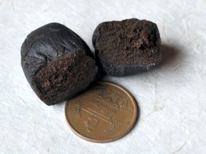 charas or hand rolled hash
