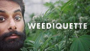 Krishna Andavolu posing next to cannabis and the title card for Weediquette