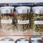 Idaho medical cannabis bill