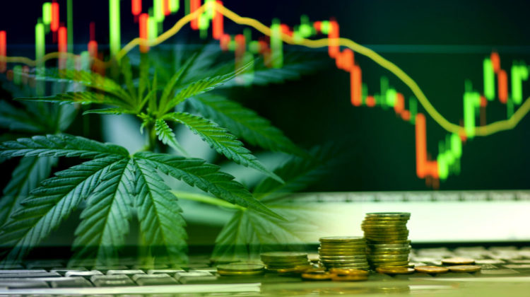 cannabis-stocks-valuation-correction