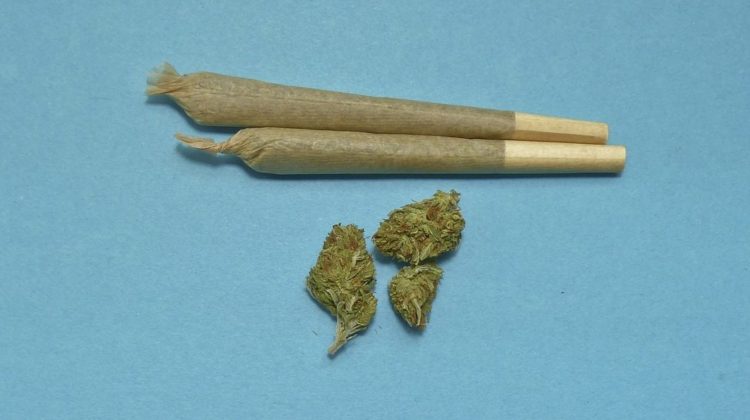 difference between blunt and joint