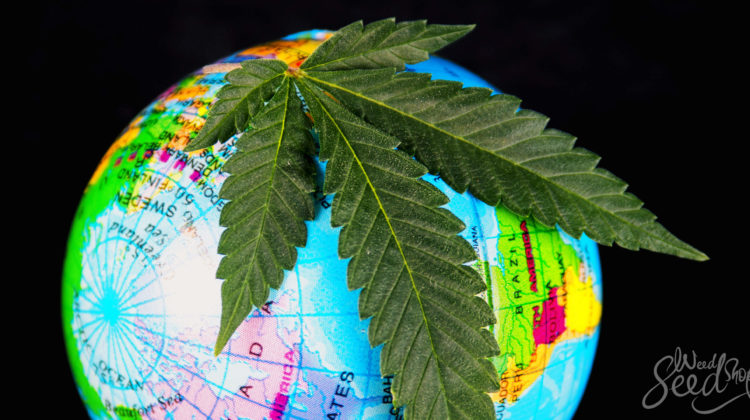 Cannabis around the world