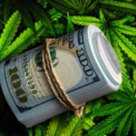 Cash-roll-on-cannabis