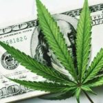 cannabis operators robberies