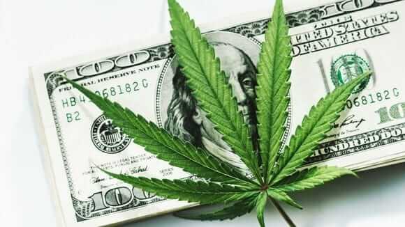 cannabis operators robberies