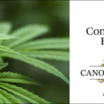 Constellation brands and Canopy Growth