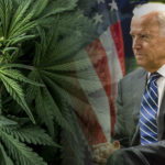 Biden's plan for cannabis