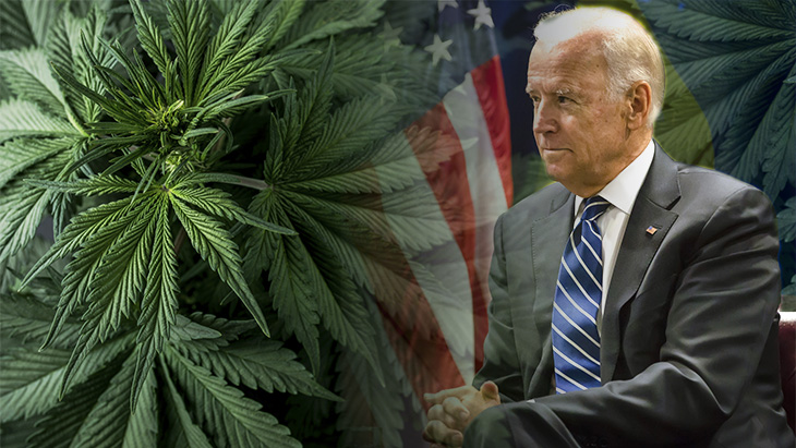 Biden's plan for cannabis