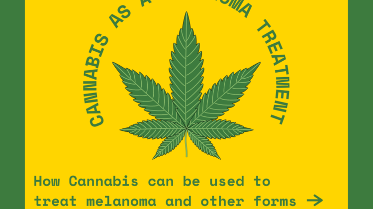 cannabis for melanoma