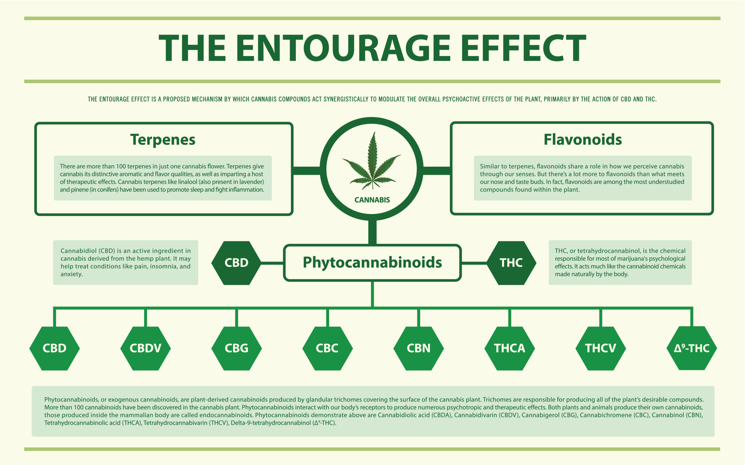 The Entourage Effect: Make Cannabis Synergy Work For You - Cannabis ...