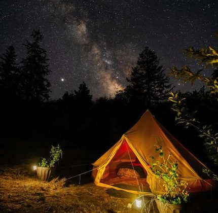 glamping with cannabis