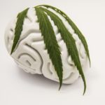 cannabis neuroprotectant