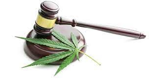 Cannabis Decriminalization