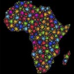 cannabis Africa