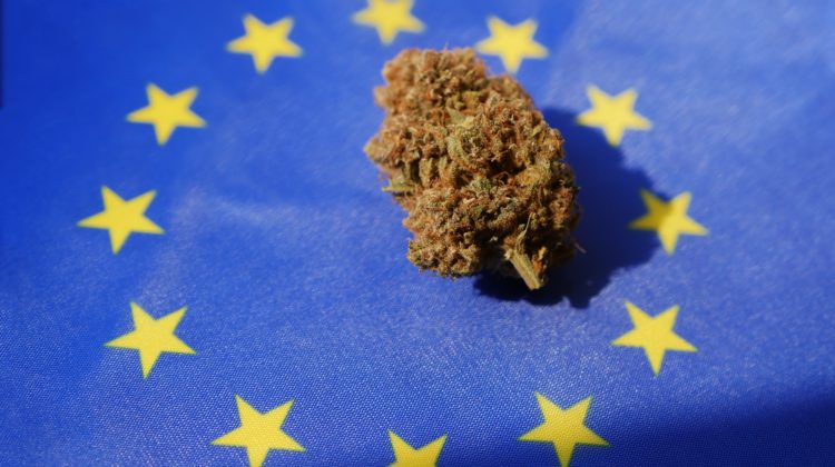 Cannabis laws throughout Europe