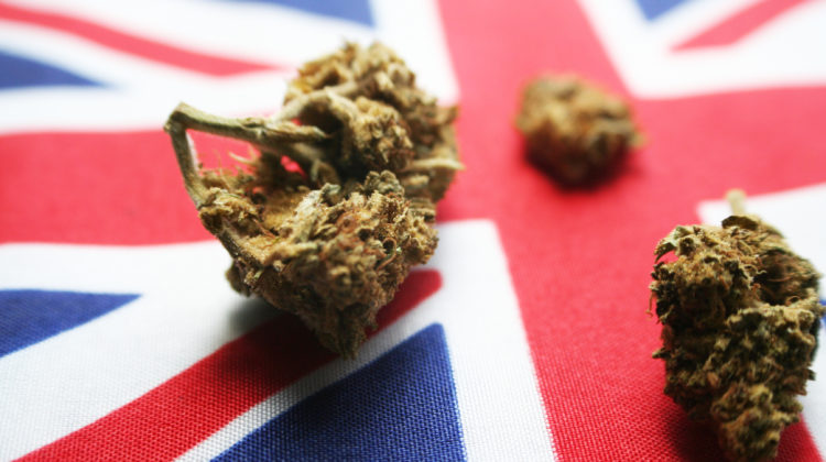 Cannabis laws in the U.K.