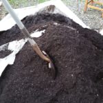 sasquatch soil