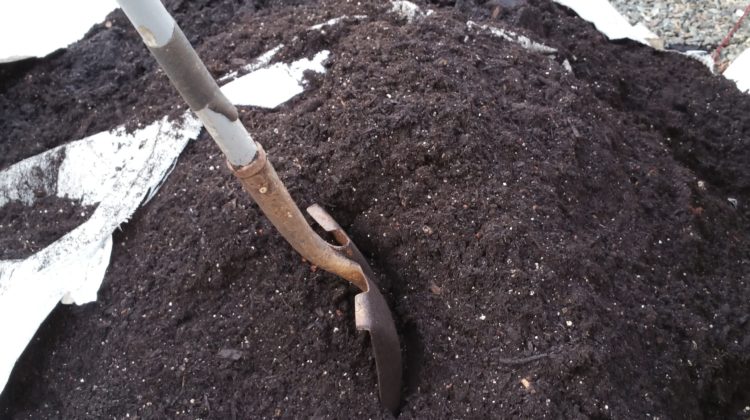 sasquatch soil