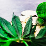 the-cannabis-crypto-connection