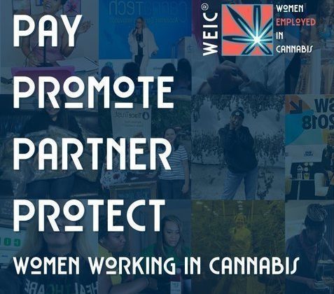 women in cannabis petition