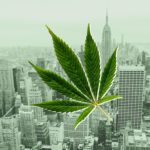New York City Cannabis
