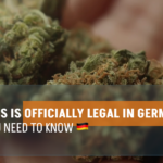 Cannabis-Is-Officially-Legal-In-Germany-1