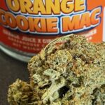 orange cookie mac