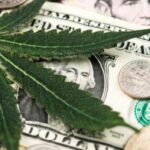 Cannabis and the Economy