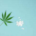 green leaf of hemp and white tablets on a blue background