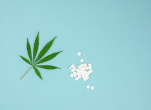 green leaf of hemp and white tablets on a blue background