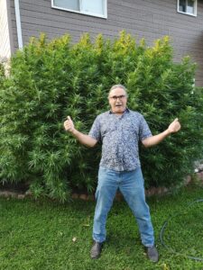 Bill Sutherland stands in front of a cannabis plant with a thumbs up